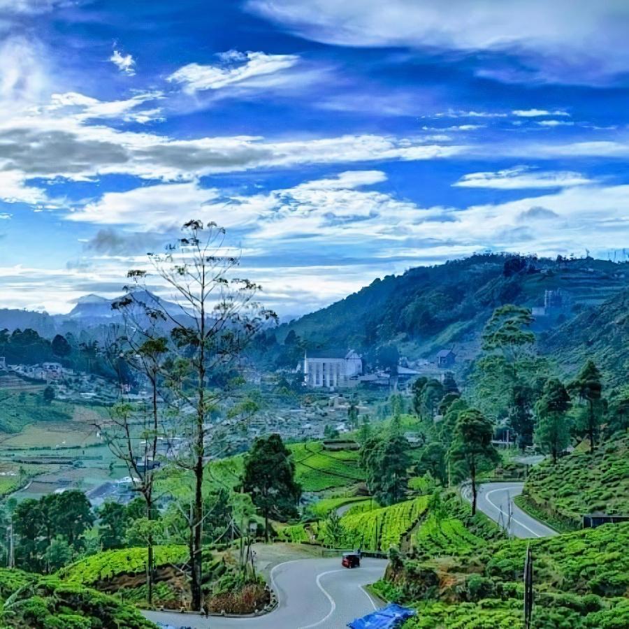 Luxe Wilderness Villa Nuwara Eliya Dış mekan fotoğraf